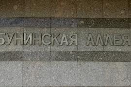 Станция метро «Бунинская Аллея» 