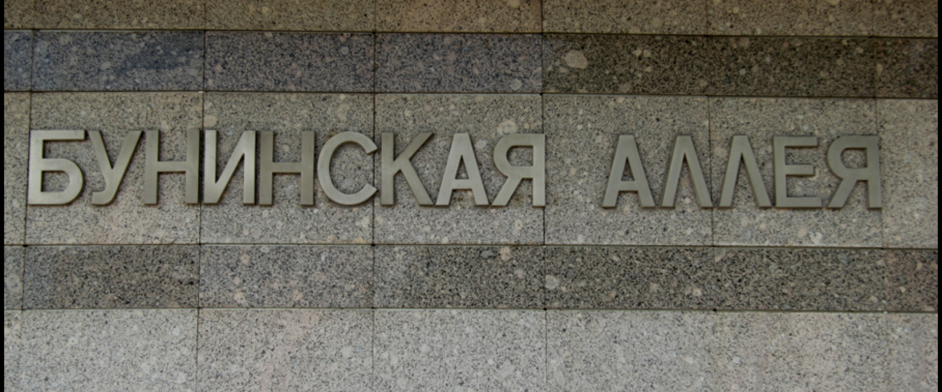 Станция метро &laquo;Бунинская Аллея&raquo; 